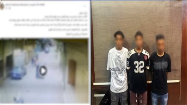 فيديو صادم.. تفاصيل تحرش 3 أشخاص بسيدة في الشارع | شاهد