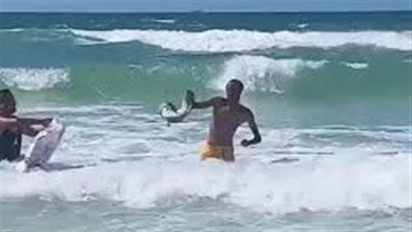 البيئة تكشف مصيره..كيف وصل تمساح أبوتلات إلى شاطئ الإسكندرية؟ 