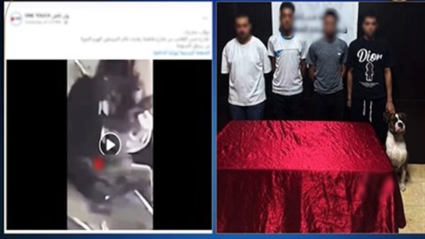 فيديو صادم.. 4 شباب يتعاطون المخدرات بالشارع وتحرك عاجل من الداخلية | شاهد