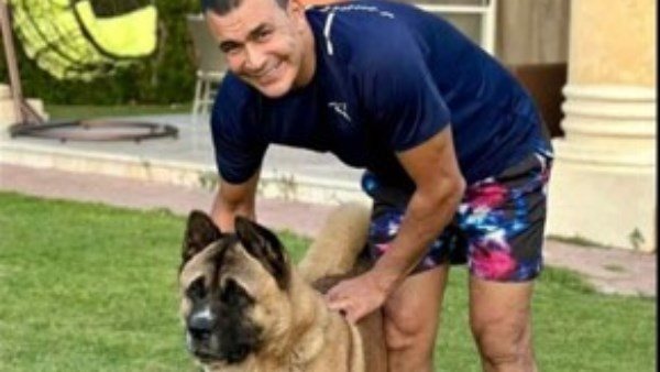  عضة كلب ولقاح سعار.. التقرير الطبي لمهندسة نهشها كلب عصام الحضري 