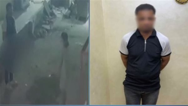 فيديو صادم.. تفاصيل القبض على عامل تحرش بطفلة أثناء سيرها في الشارع | شاهد