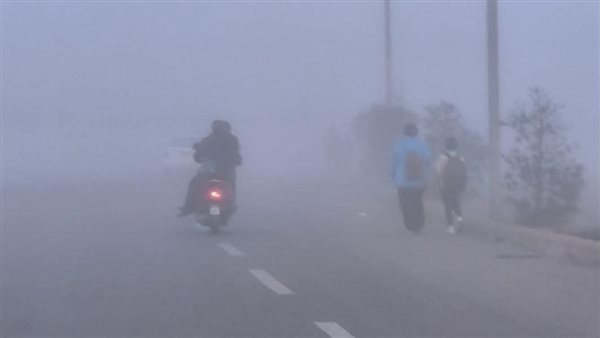 شبورة ونشاط رياح.. الأرصاد تكشف عن حالة الطقس غدا الجمعة 3-10-2025