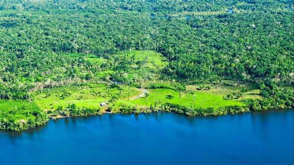  رئة الكوكب تحترق.. ماذا يحدث فى خط الدفاع الأول عن صحة ملايين البشر؟ 