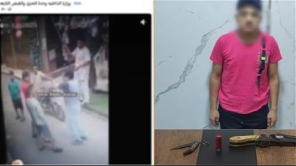 خلاف على أولوية المرور يتحول لمشاجرة بالسكاكين في حدائق القبة | فيديو