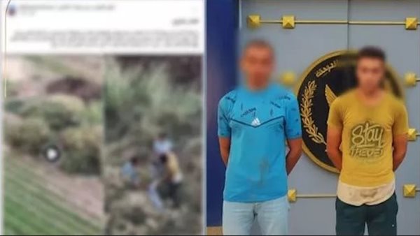 التفاصيل الكاملة.. فيديو الكلاب في بني سويف يُشعل السوشيال ميديا | شاهد