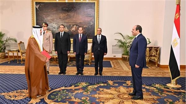 سفير الإمارات يقدم أوراق اعتماده إلى الرئيس السيسي