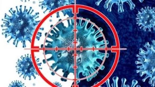  متحدث الصحة يحسم الجدل ويكشف حقيقة وجود حالات من مرض ماربورج في مصر 