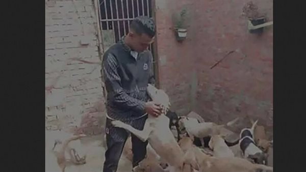 استغلوا طيبة قلبه.. تفاصيل مأساوية في مقتل شاب بالشرقية بعد استدراجه بحيلة إنسانية