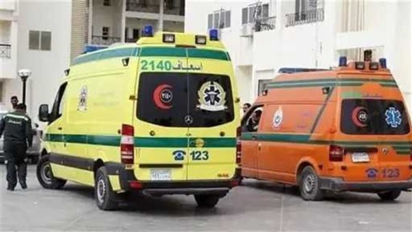 دهس 4 تلميذات بالفيوم.. تفاصيل حبس سائق متهور قتل طفلة وادخل زميلاتها العناية المركزة