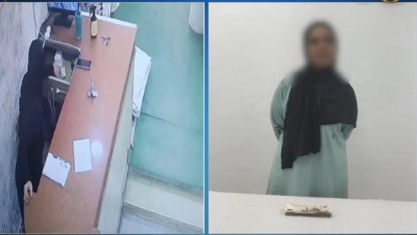 فيديو مثير.. ربة منزل تسرق محل بالشرقية | شاهد