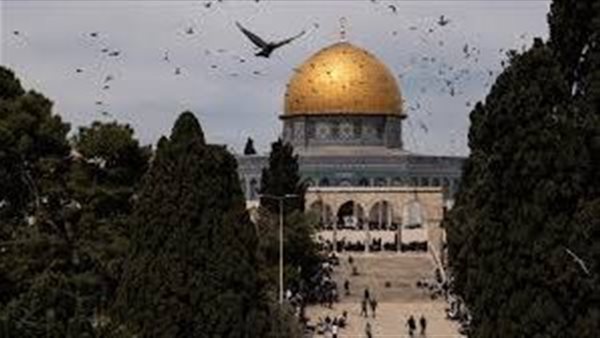 موظفو الأقصى يُحبطون مخططًا متطرفًا لذبح قرابين داخل الحرم القدسي