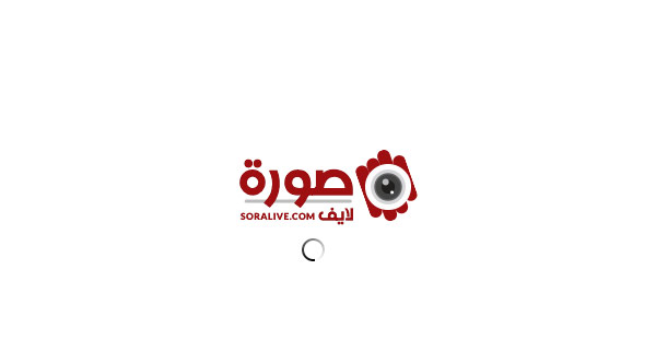 أحضان وقبلات.. فيديو جديد لـ شيرين عبد الوهاب وحسام حبيب | شاهد